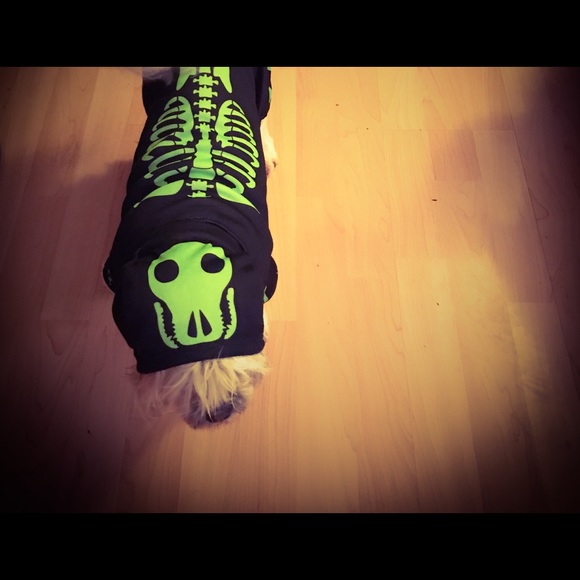 Meet your Posher, whim - Picture 6 of 11